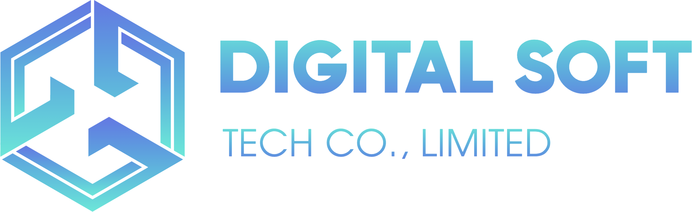 DigitalSoft-專業AWS和GCP服務器代理商，業務系統開發與協助|一站式企業服務